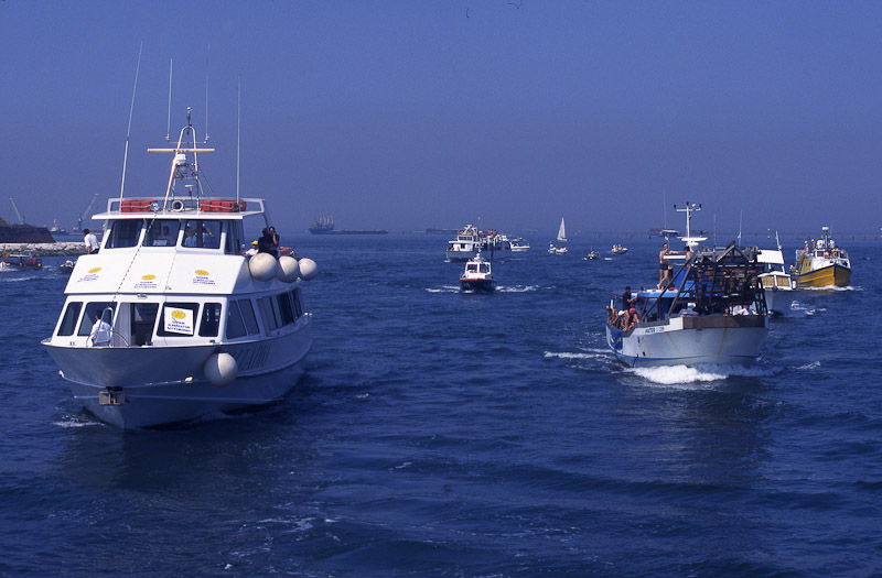 2003 - Pulizia dei fondali - Chioggia (Ve)