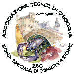 Logo Associazione Tegnue di Chioggia ZSC