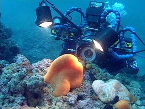 Fotografo che documenta le Tegnùe di Chioggia